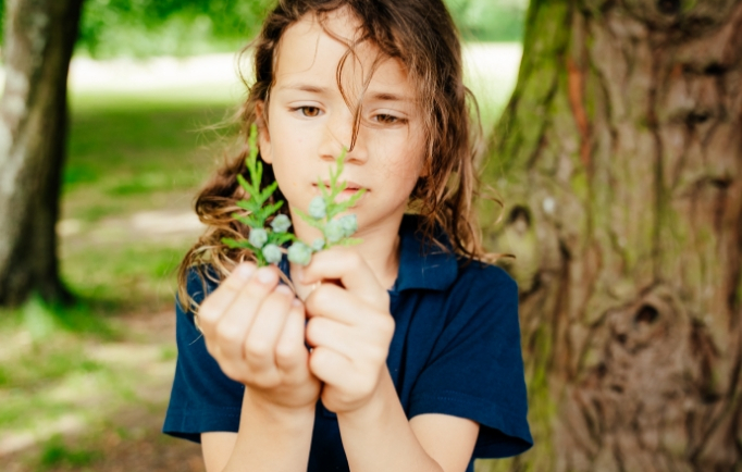 child examining a flower